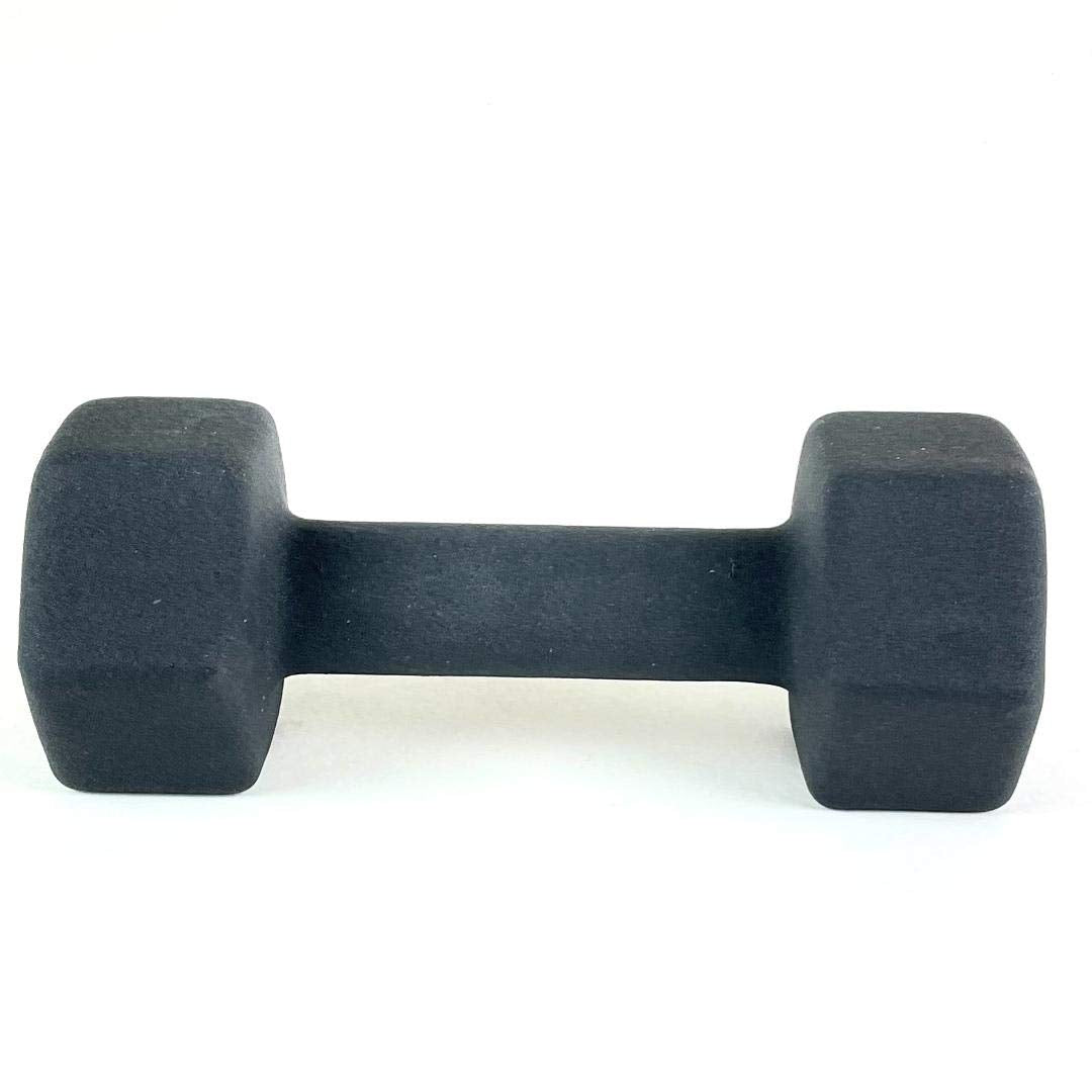 Black 10LB Set of 2 Neoprene Coated Hex Dumbbell V393135