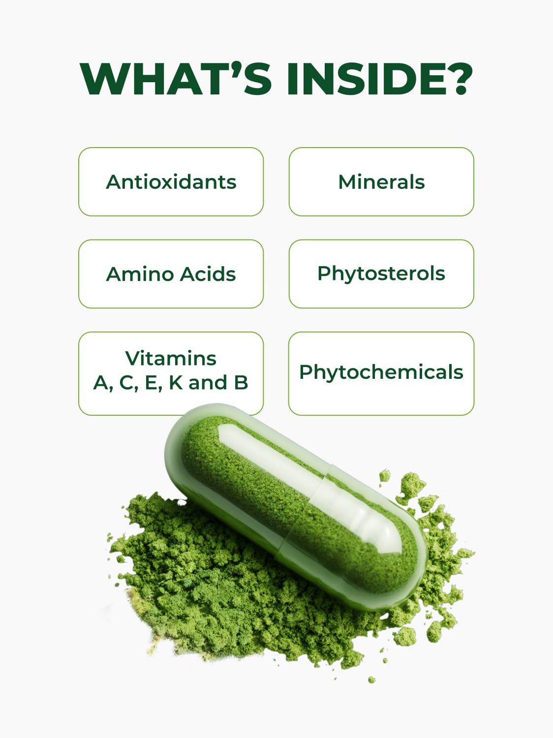 Organic Moringa Capsules 120ct 500mg N348