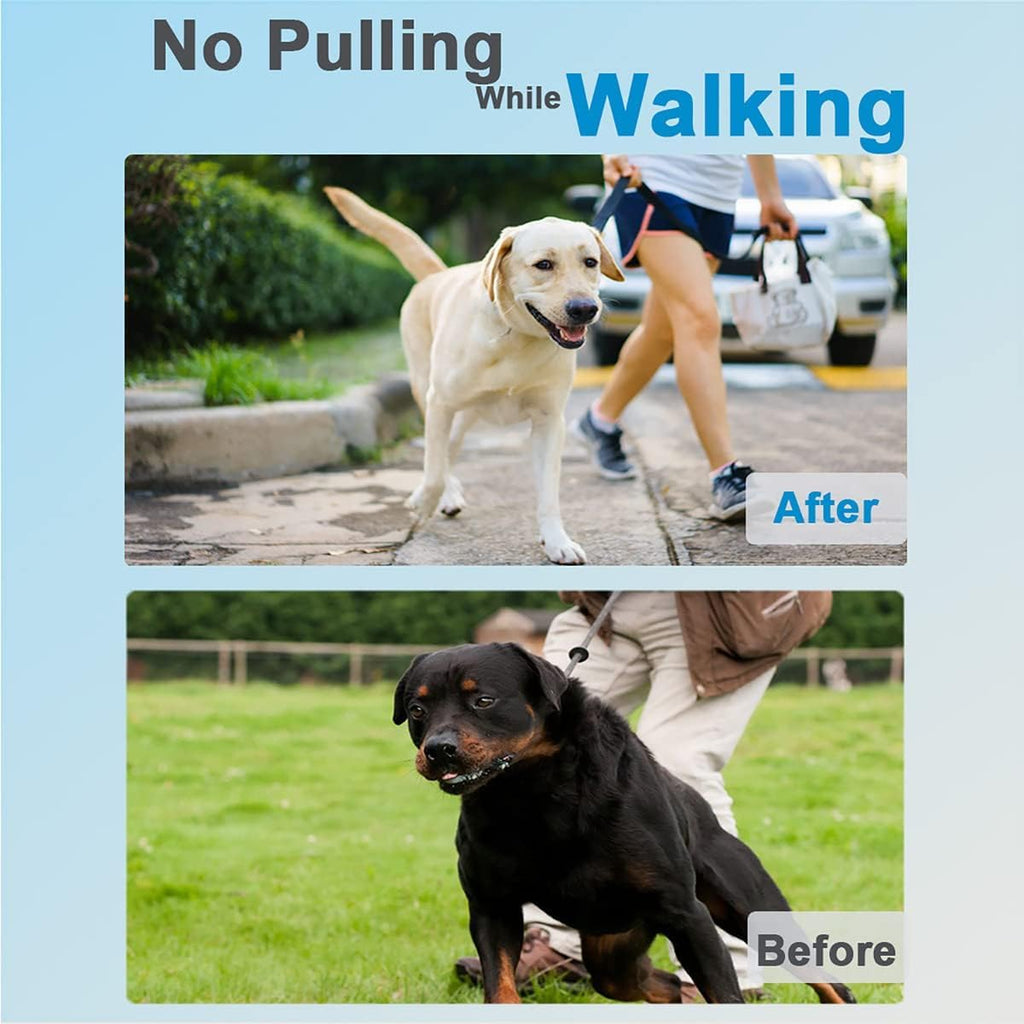 Dog Training Collar G686154