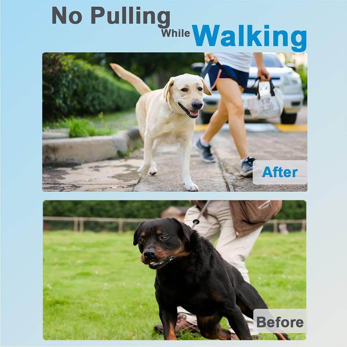 Dog Training Collar G686154