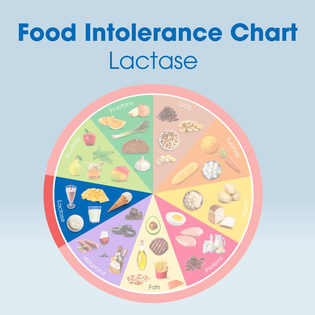 Lactase Digestive Enzymes 150 Scored Tablets E3343