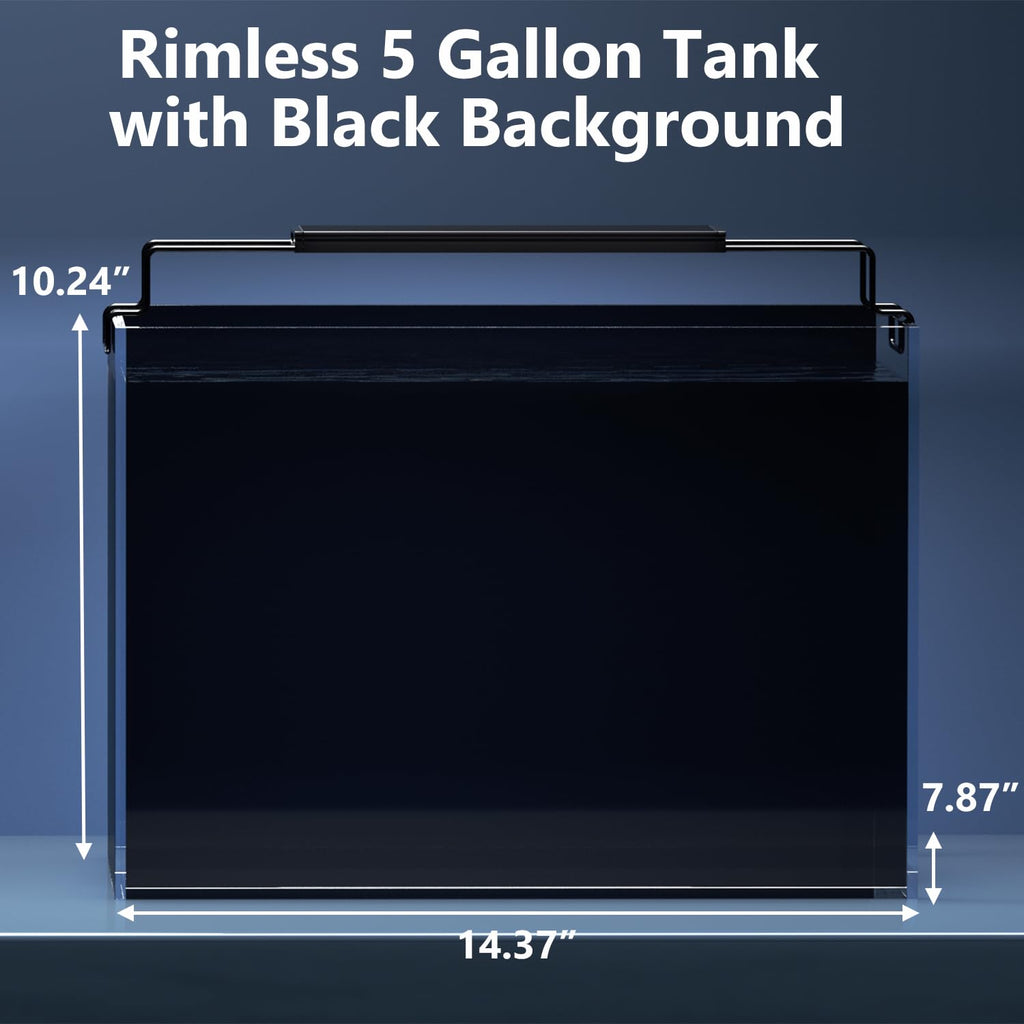 5 Gallon Glass Fish Tank Kit with Filter Light C840245
