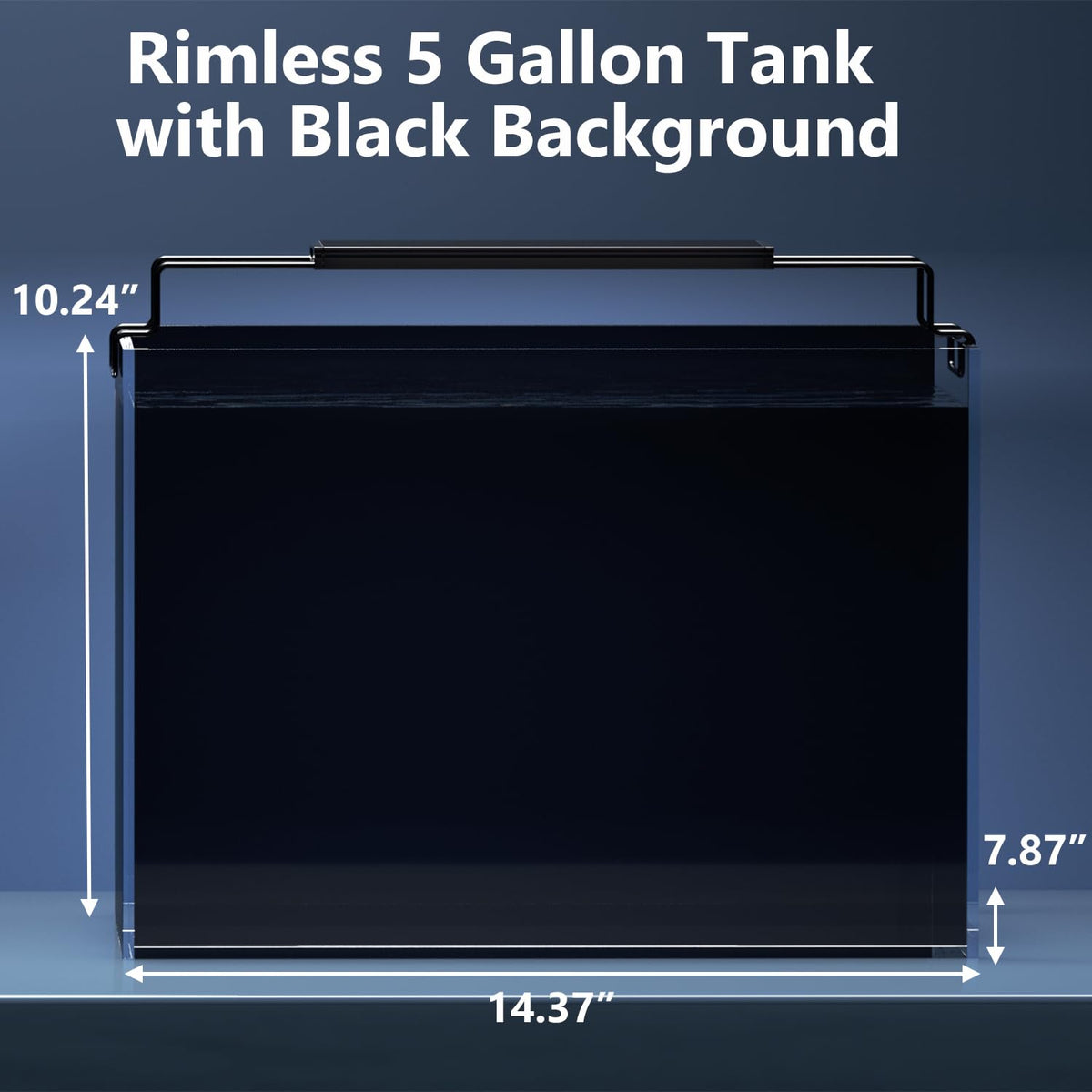 5 Gallon Glass Fish Tank Kit with Filter Light C840245