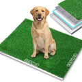 Grass Pee Pad with Stainless Steel Tray L3448