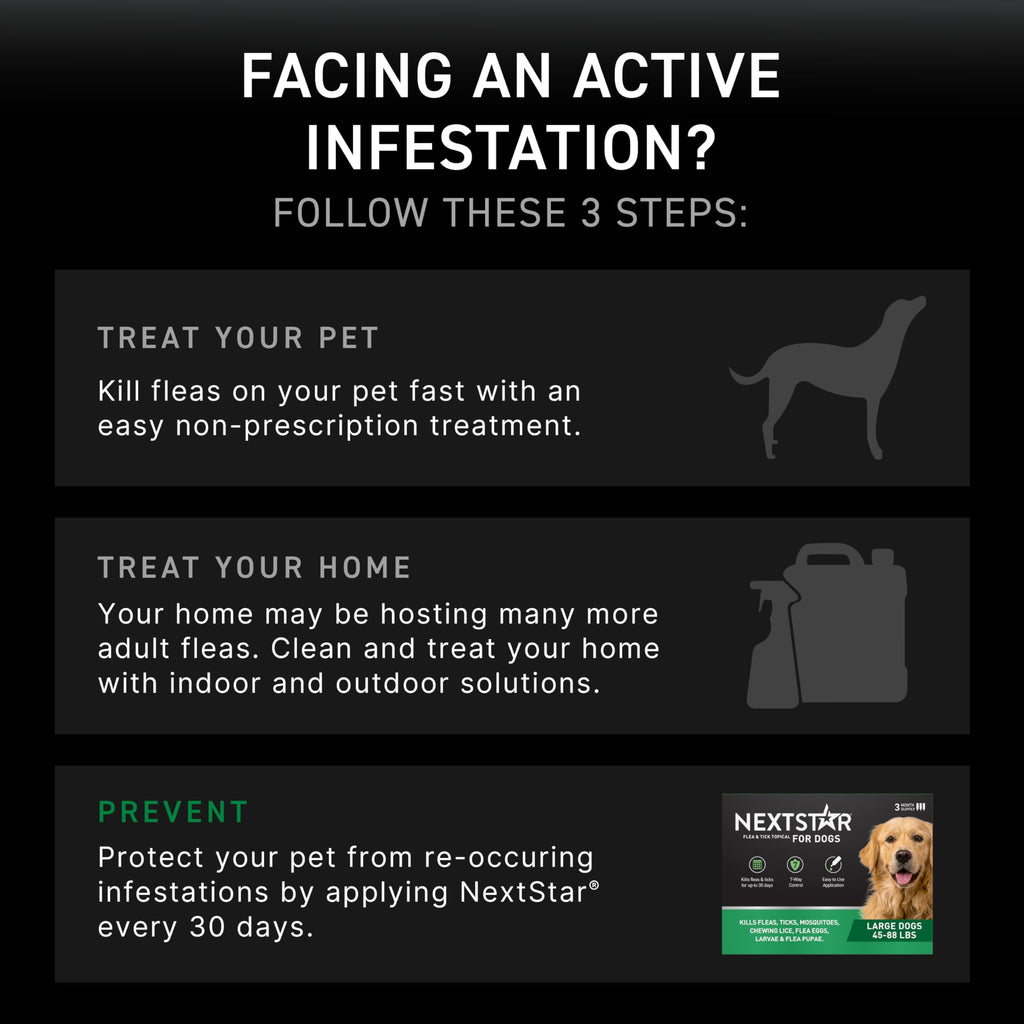 Flea & Tick Topical Dogs Large 1-Month E4477