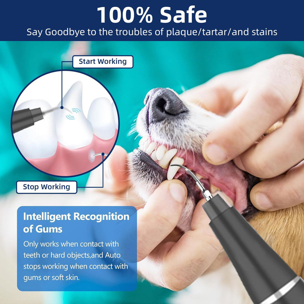 Ultrasonic Pet Plaque Remover with LED Light T95375