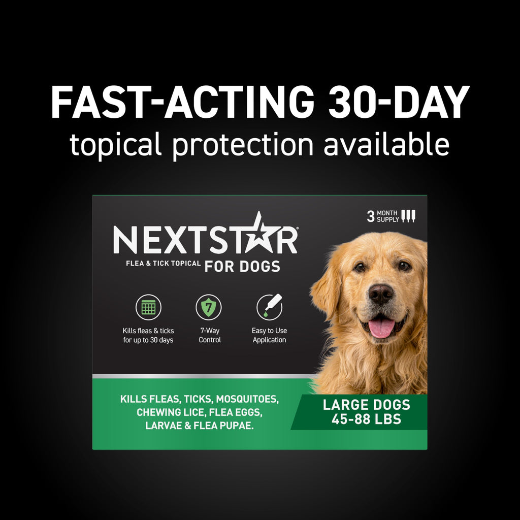 Flea & Tick Topical Dogs Large 1-Month E4477