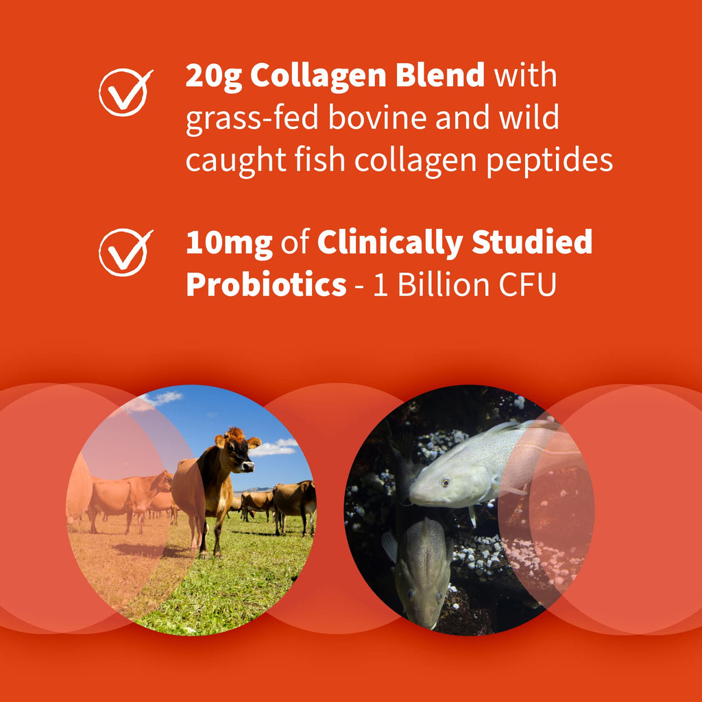 Marine & Grass-Fed Collagen Peptides Powder with Probiotics & BCAAs Unflavored B74746