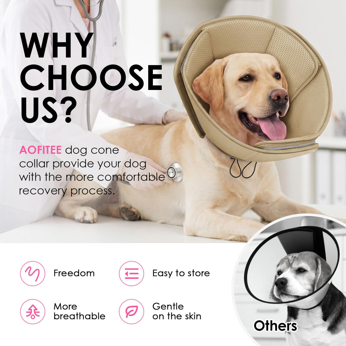 Soft Dog Cone Collar K847006