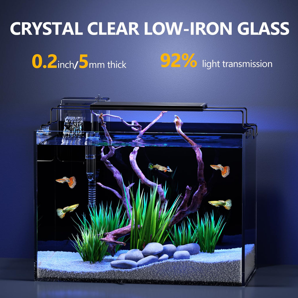 5 Gallon Glass Fish Tank Kit with Filter Light C840245