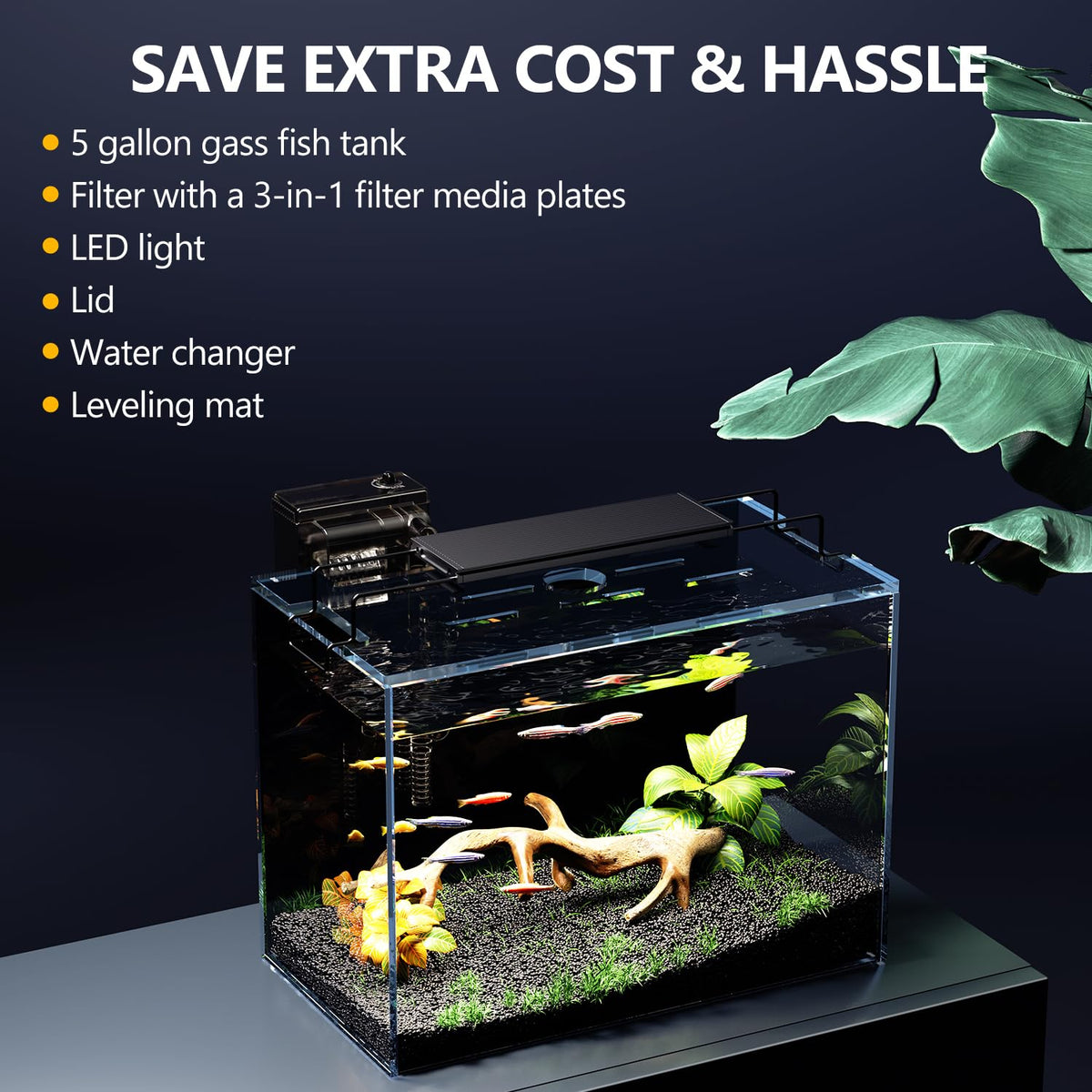 5 Gallon Glass Fish Tank Kit with Filter Light C840245