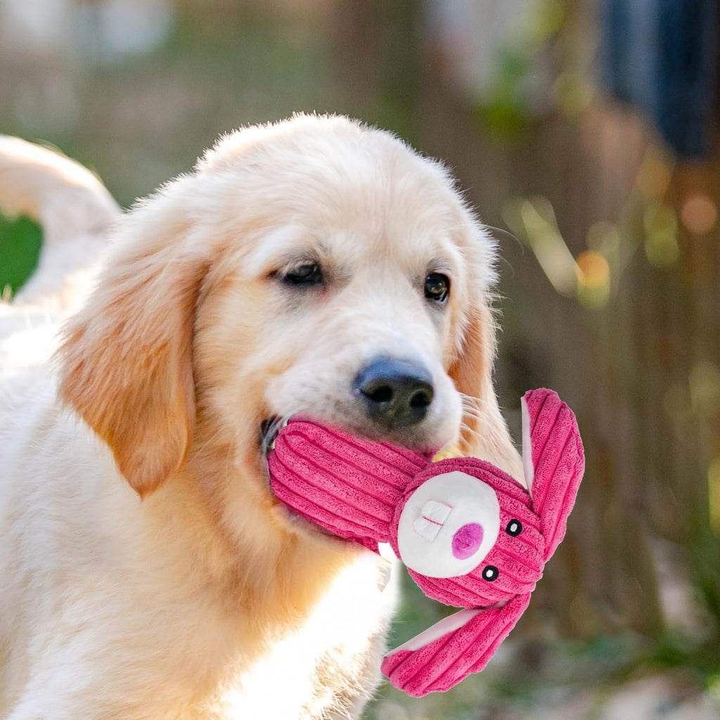 Dog Squeak Toys N706