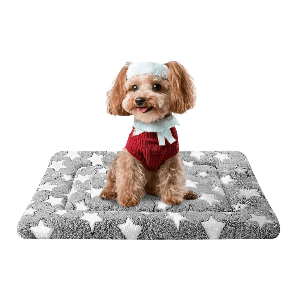 Reversible Machine Washable Dog Bed Mat R602