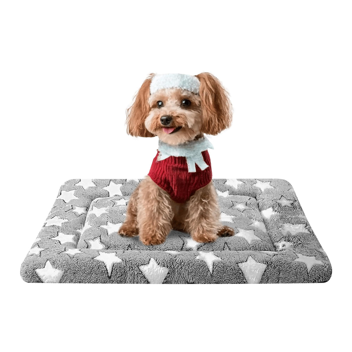 Reversible Machine Washable Dog Bed Mat R602