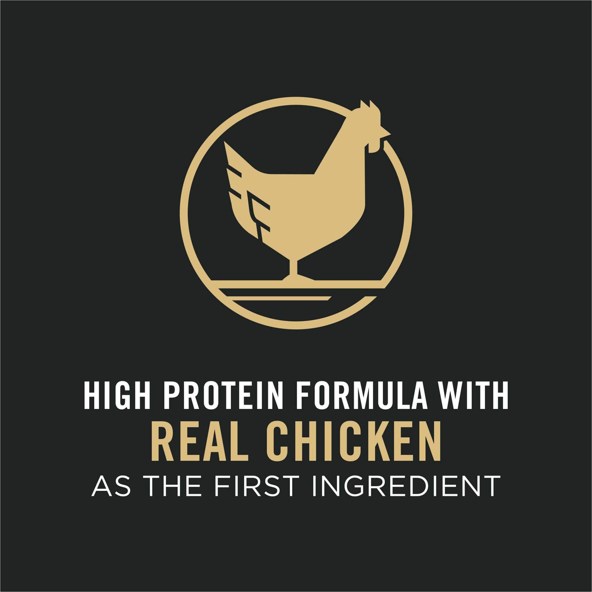 High Protein Chicken & Rice Dog Food O997