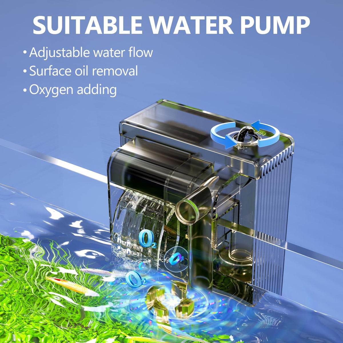 5 Gallon Glass Fish Tank Kit with Filter Light C840245