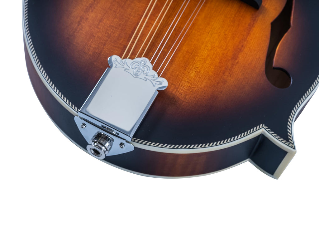 Brown Burst F-Style Mandolin M16961