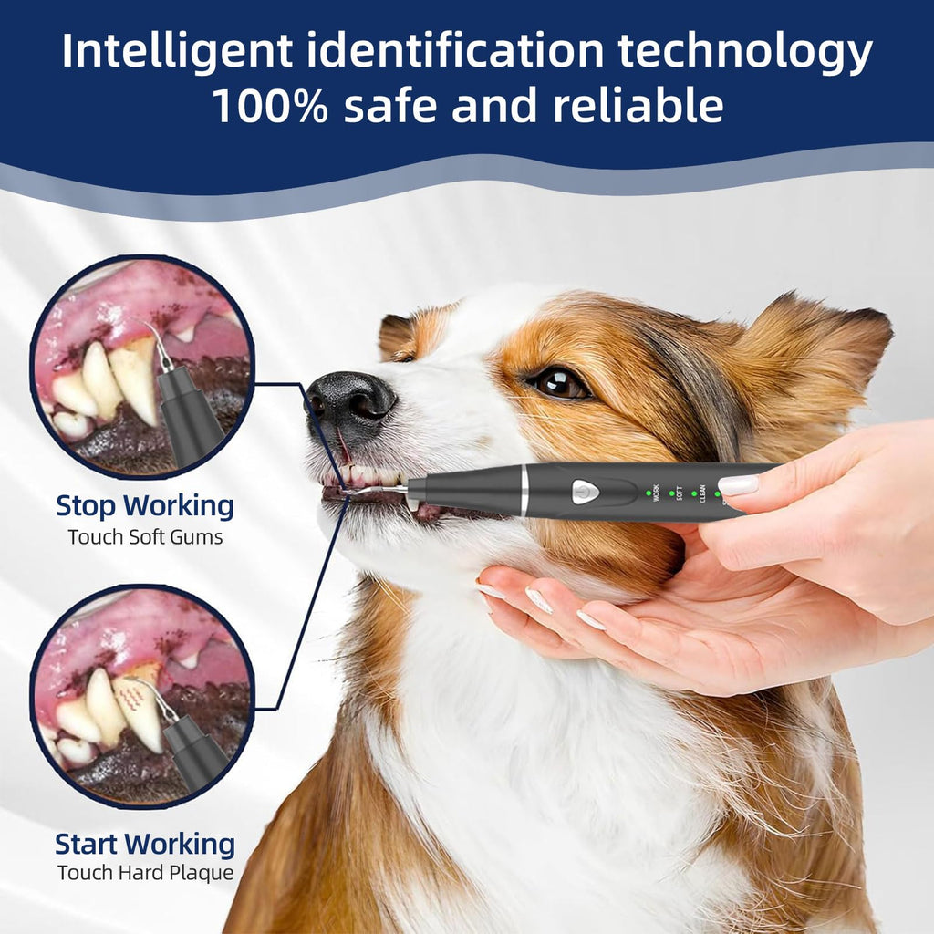 Ultrasonic Pet Plaque Remover with LED Light T95375