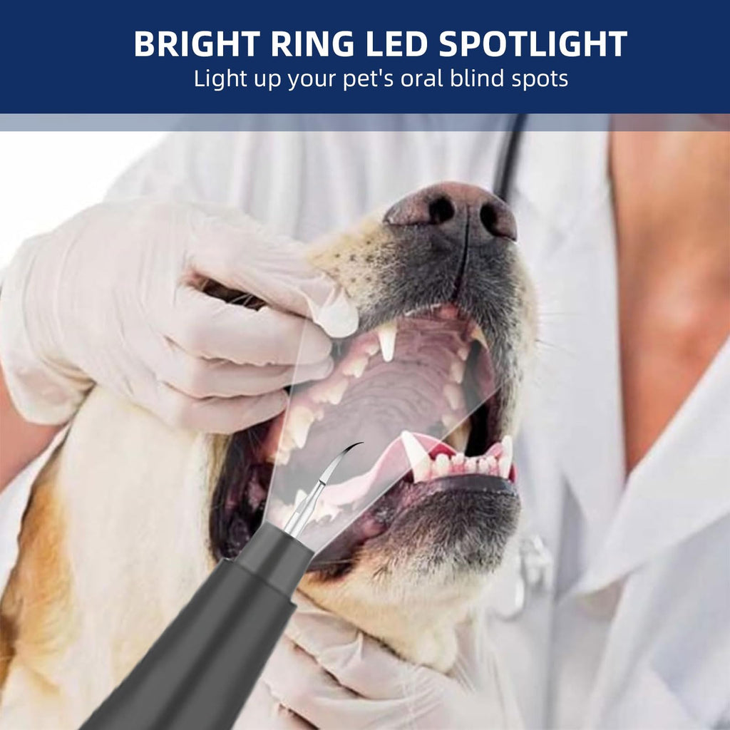 Ultrasonic Pet Plaque Remover with LED Light T95375