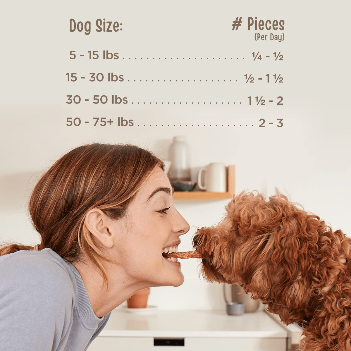 Chicken Fillet Dog Treats 48 oz E14935