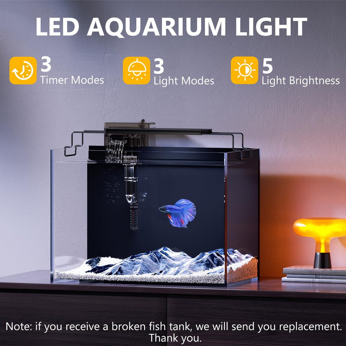5 Gallon Glass Fish Tank Kit with Filter Light C840245