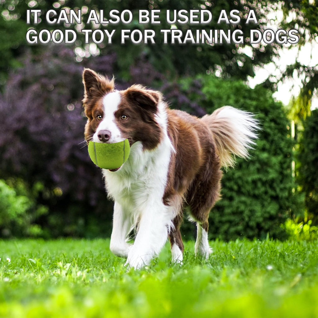 6 Pack Tennis Ball with Mesh Bag I81768