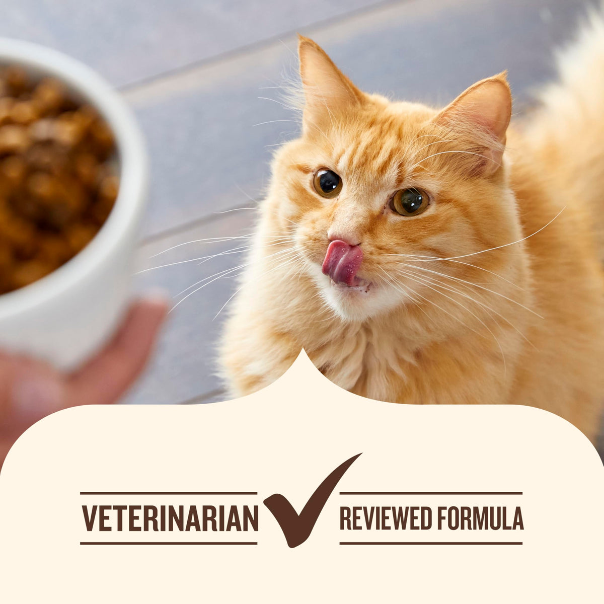 Chicken & Brown Rice Recipe Dry Cat Food 14 lb. Bag J548