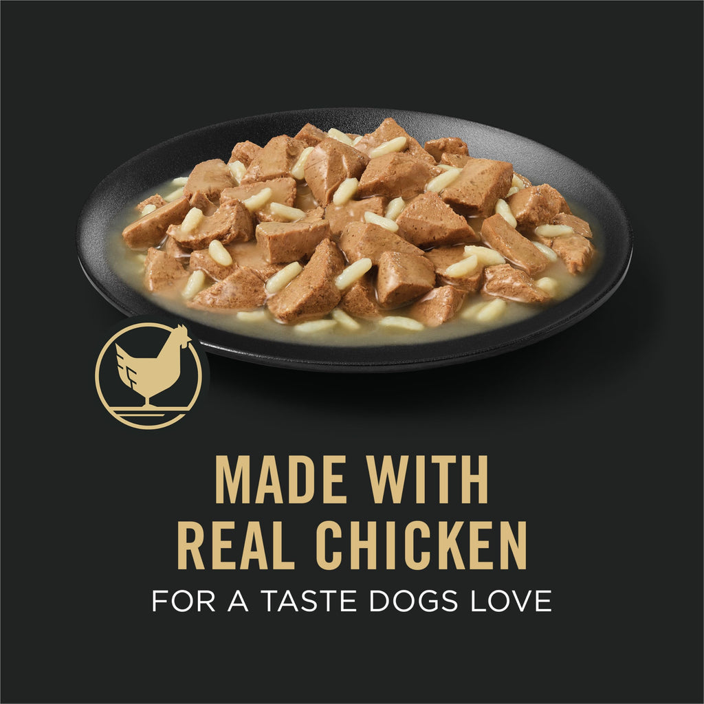 Chicken Gravy Wet Dog Food 13 oz D552