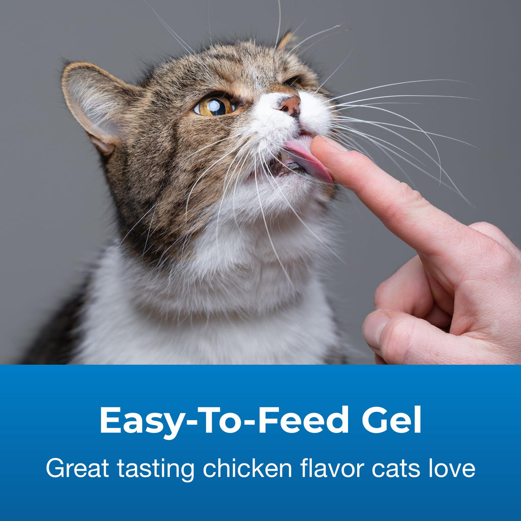 Hairball Solution Gel Supplement for Cats 3.5 oz Pack of 2 D29703