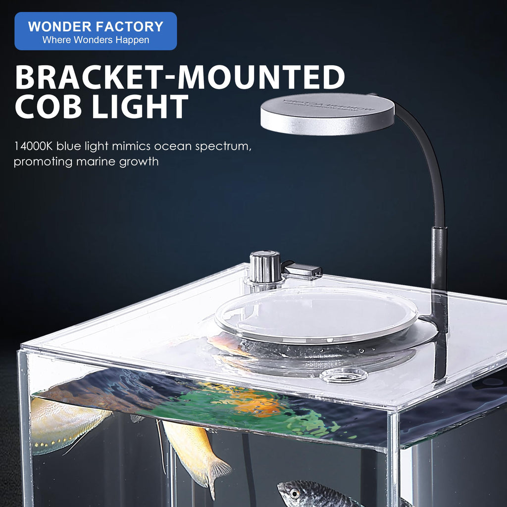 3 Gallon Fish Tank Aquarium B7414