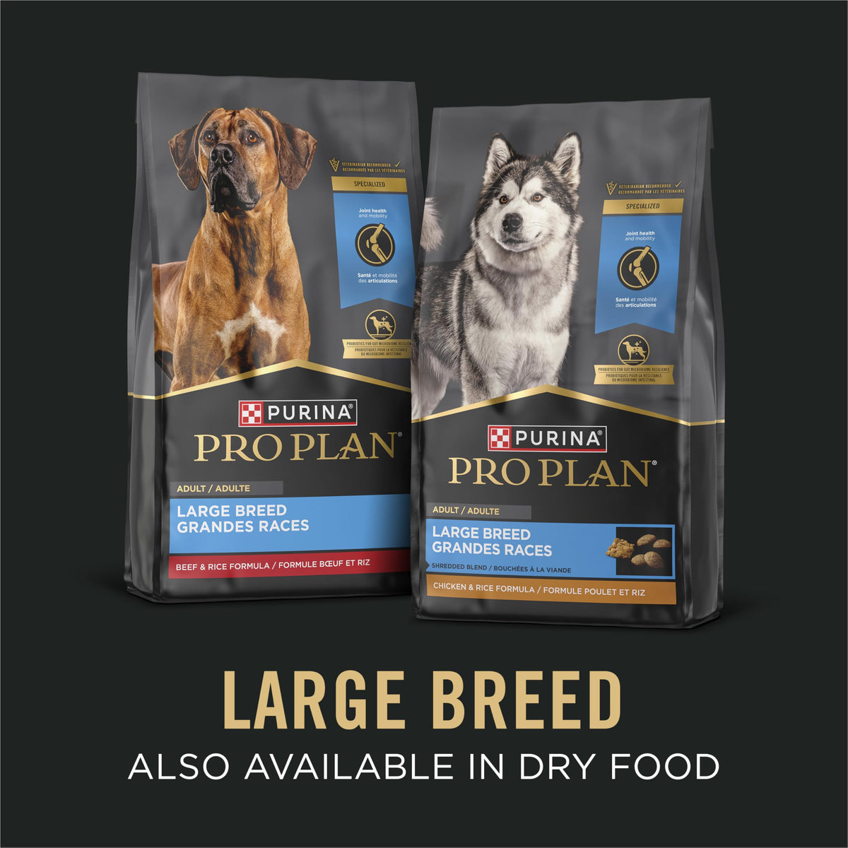 Chicken Gravy Wet Dog Food 13 oz D552