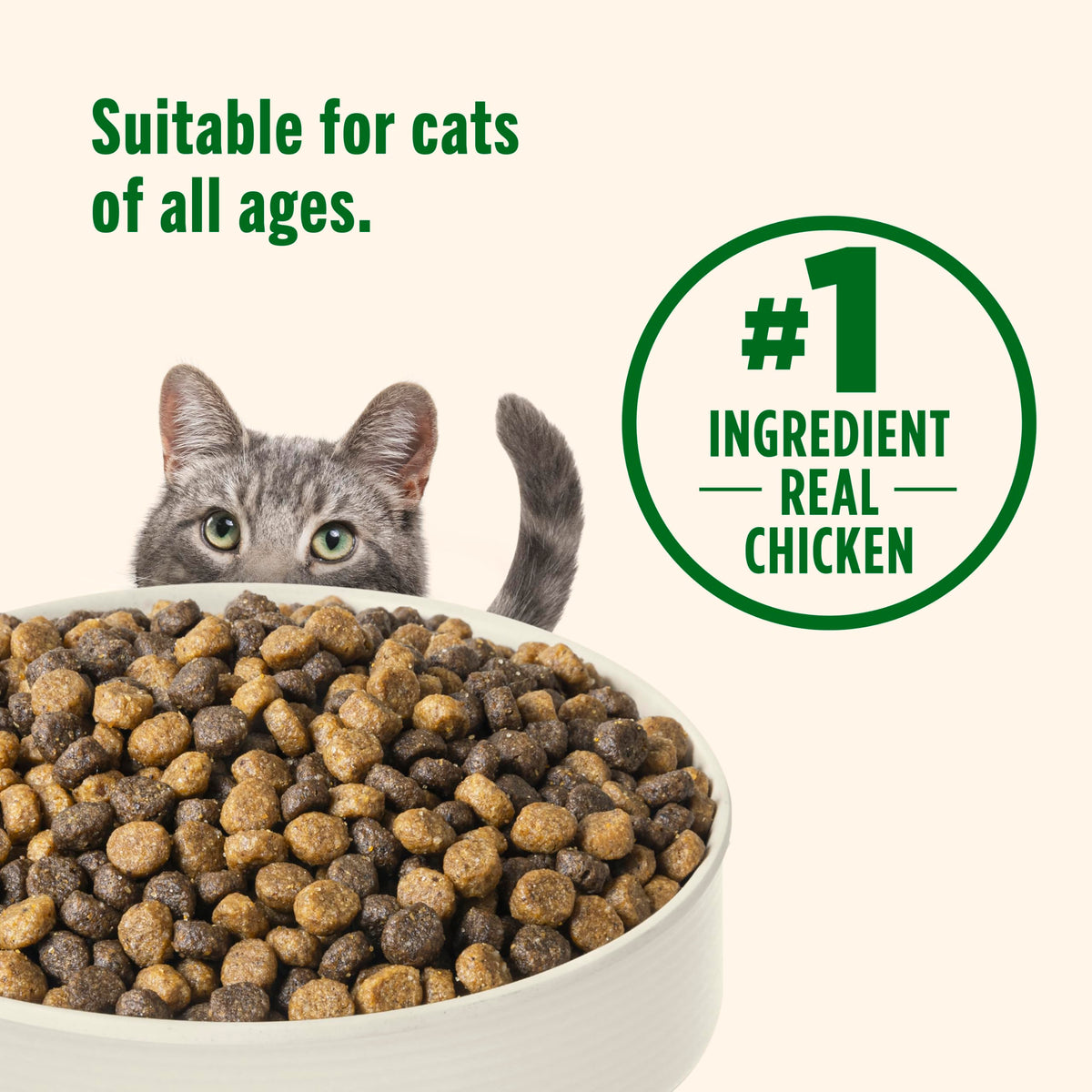 Chicken & Brown Rice Recipe Dry Cat Food 14 lb. Bag J548