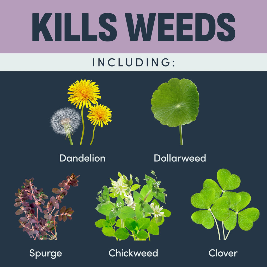 32 Oz Weed Killer C198