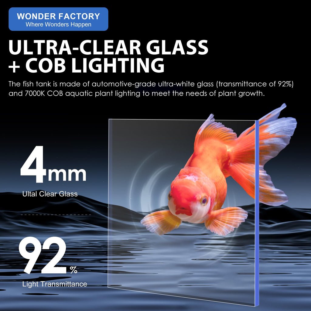 3 Gallon Fish Tank Aquarium B7414
