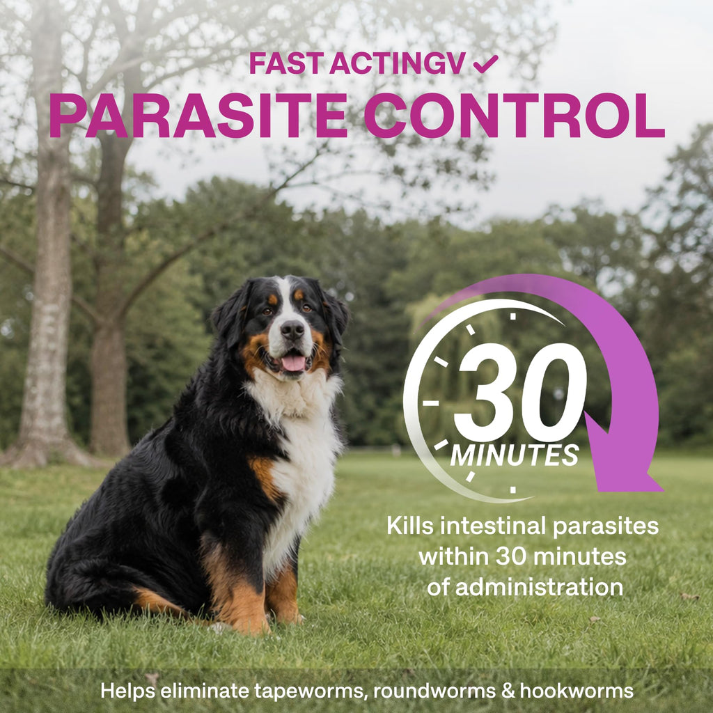 Dog Dewormer Liquid Formula with Praziquantel & Pyrantel Pamoate, 3.38 fl oz Q611