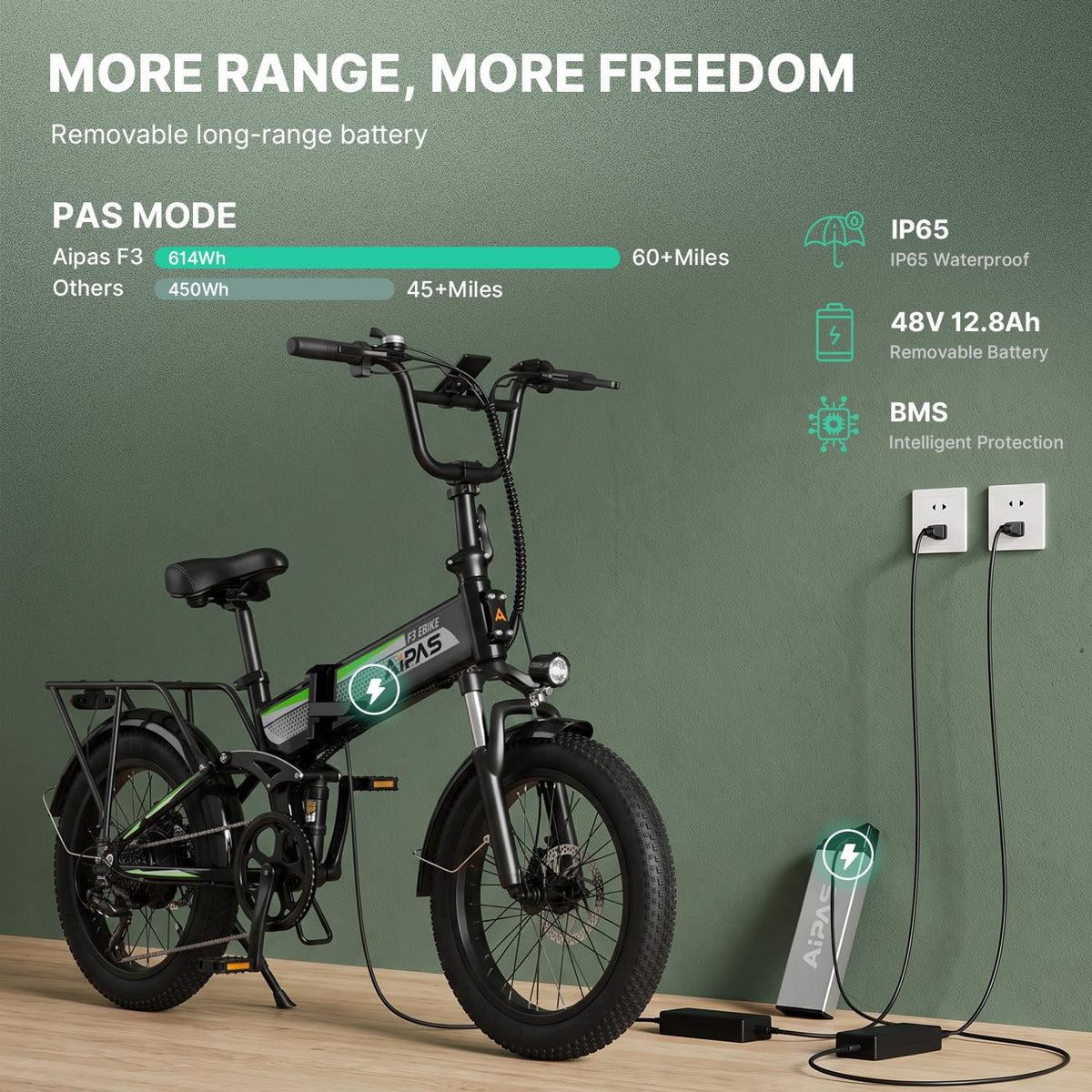 Folding Electric Bike 20" Fat Tire Y3116