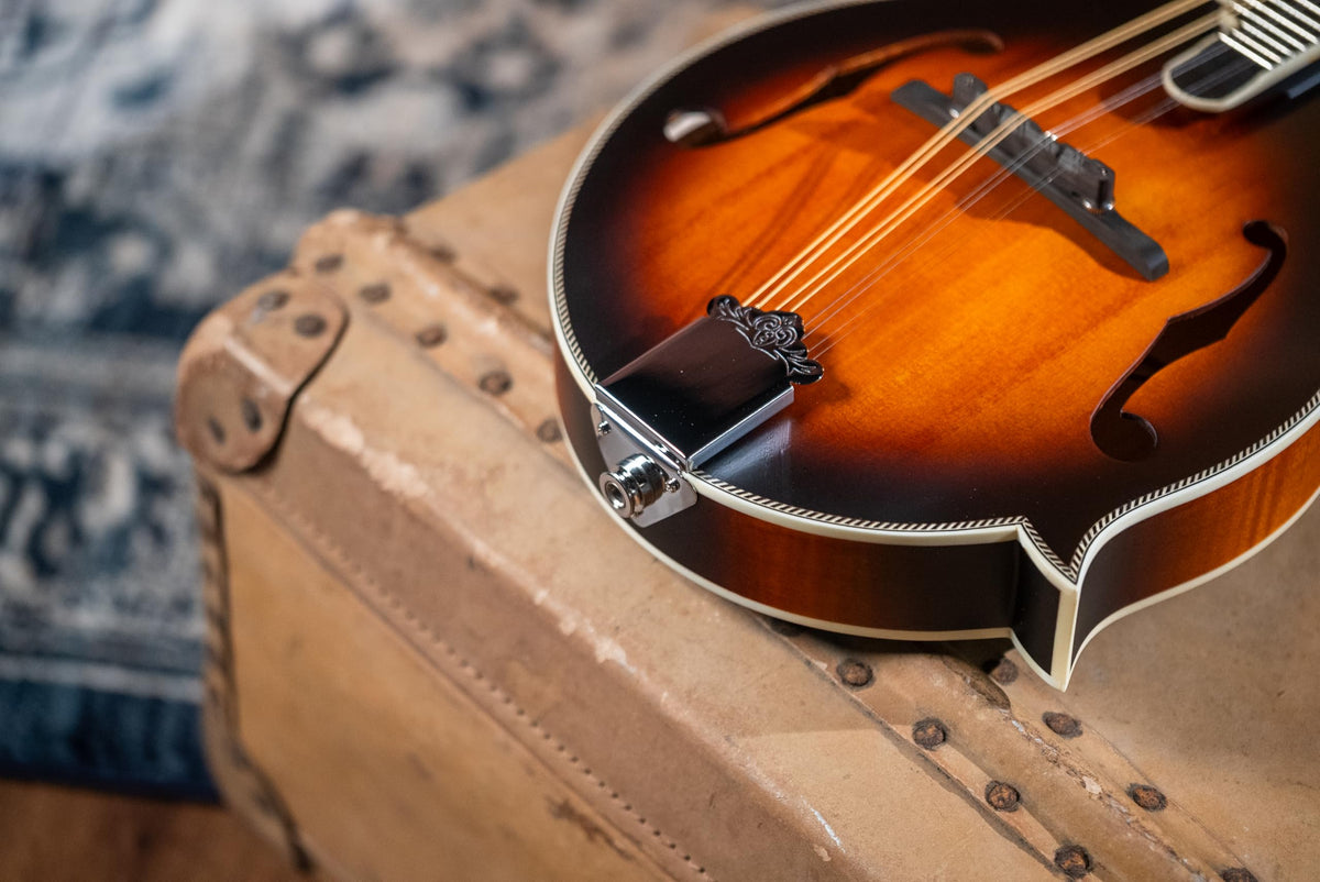 Brown Burst F-Style Mandolin M16961