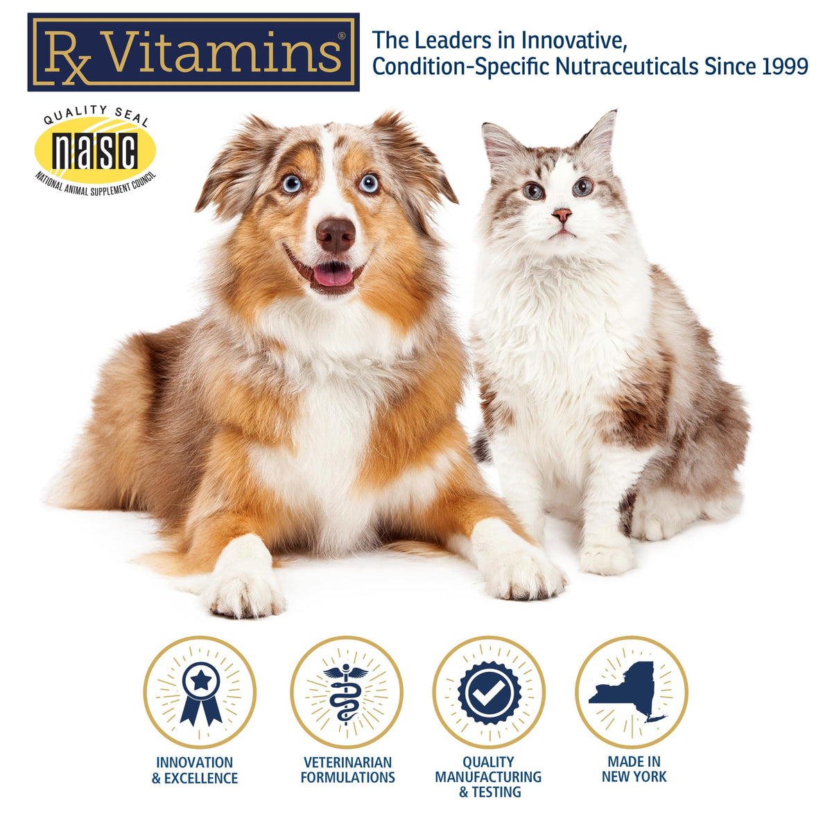 Amino B Plex Cat & Dog Supplement 4oz Z951