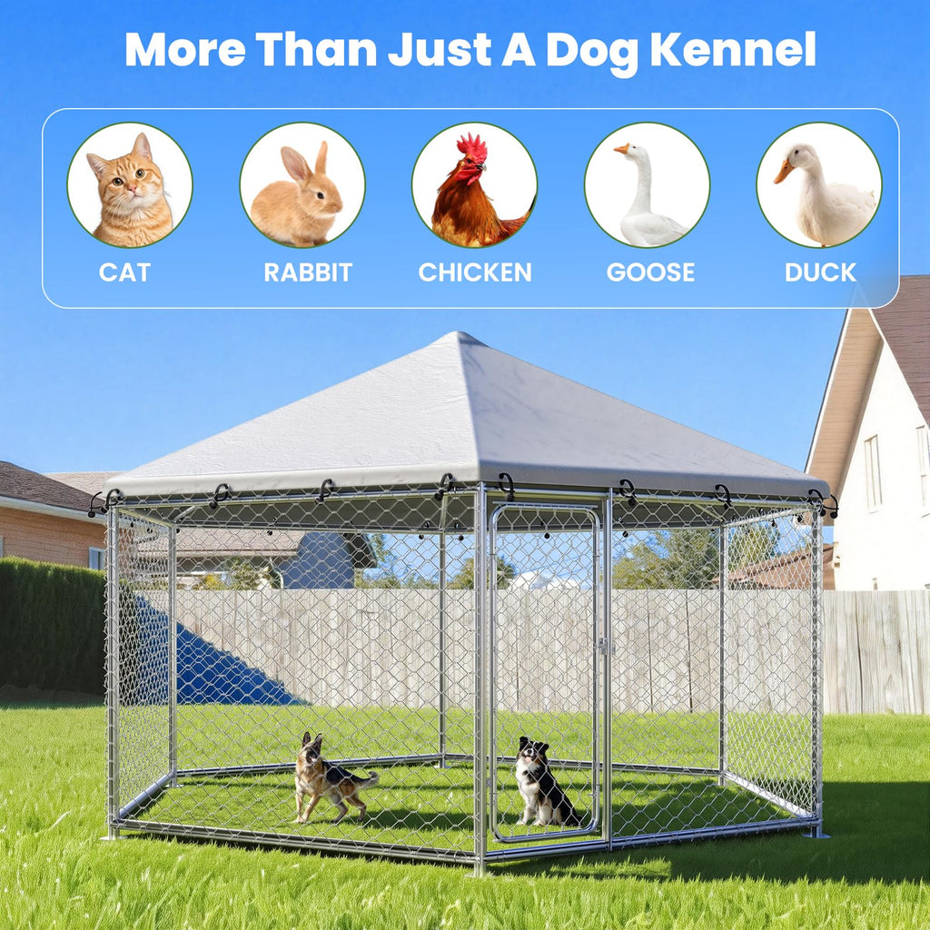 12.5x12.5 ft Outdoor Dog Kennel with Roof D49768