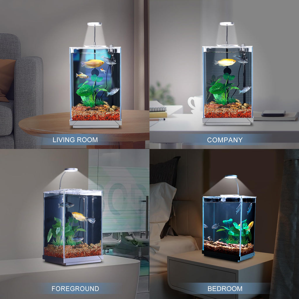 3 Gallon Fish Tank Aquarium B7414