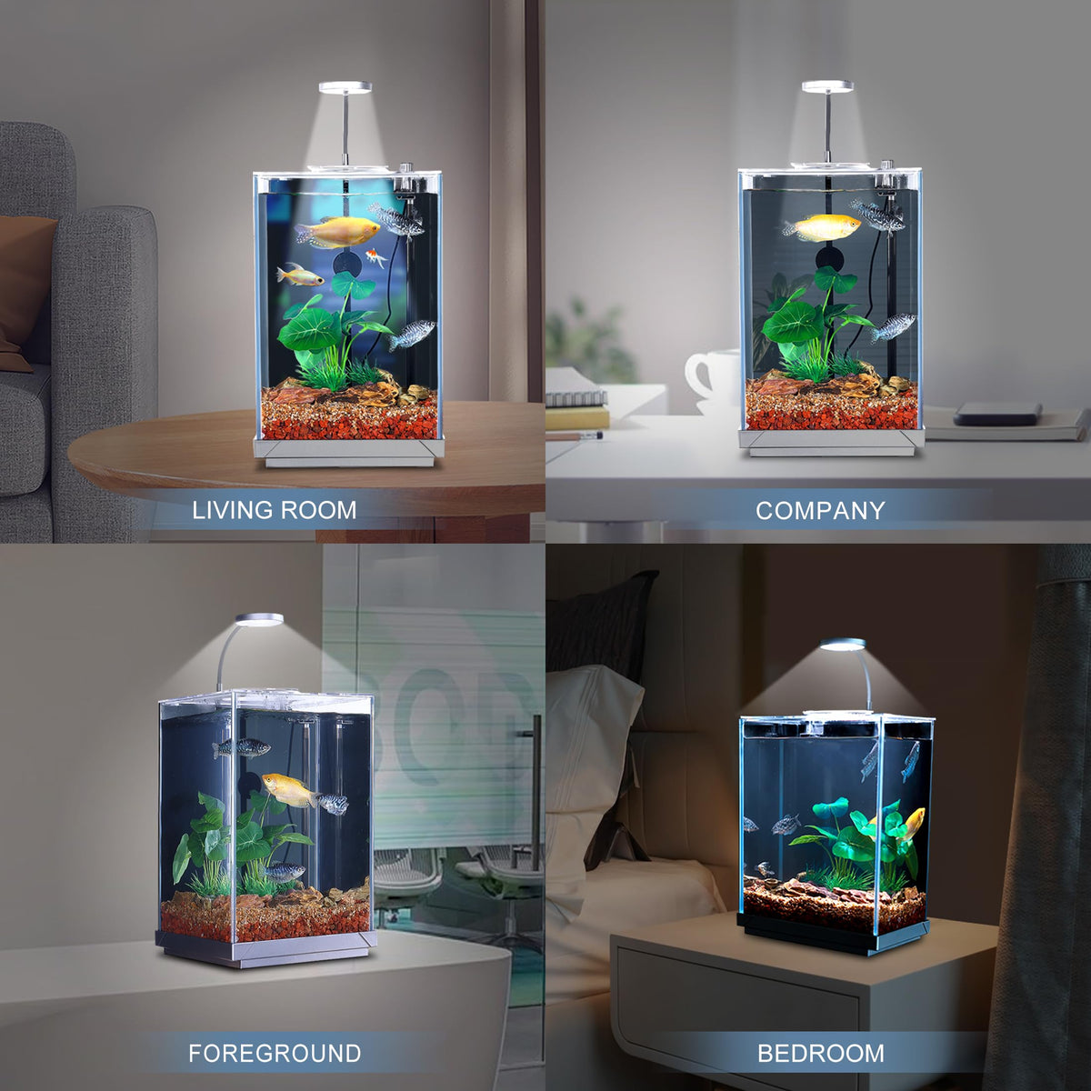 3 Gallon Fish Tank Aquarium B7414