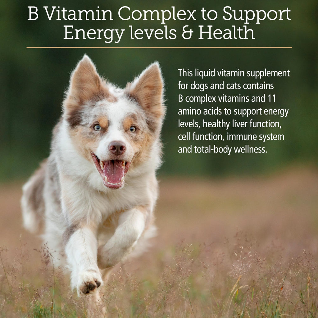 Amino B Plex Cat & Dog Supplement 4oz Z951
