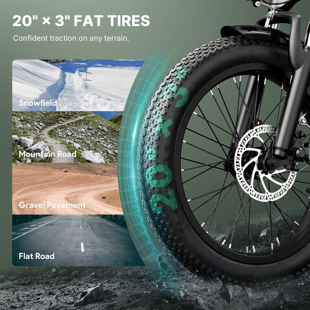 Folding Electric Bike 20" Fat Tire Y3116