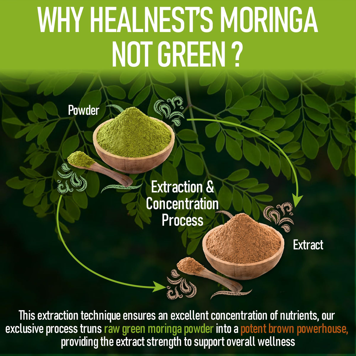 Moringa Extract Capsules 20:1 120 Capsules Vegan F3950