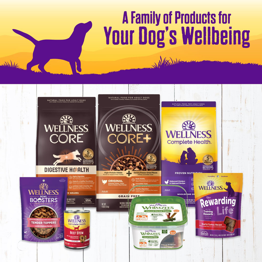 Grain Free Turkey Recipe Canned Wet Dog Food, 12.5 oz, Pack of 12 Cans I982063