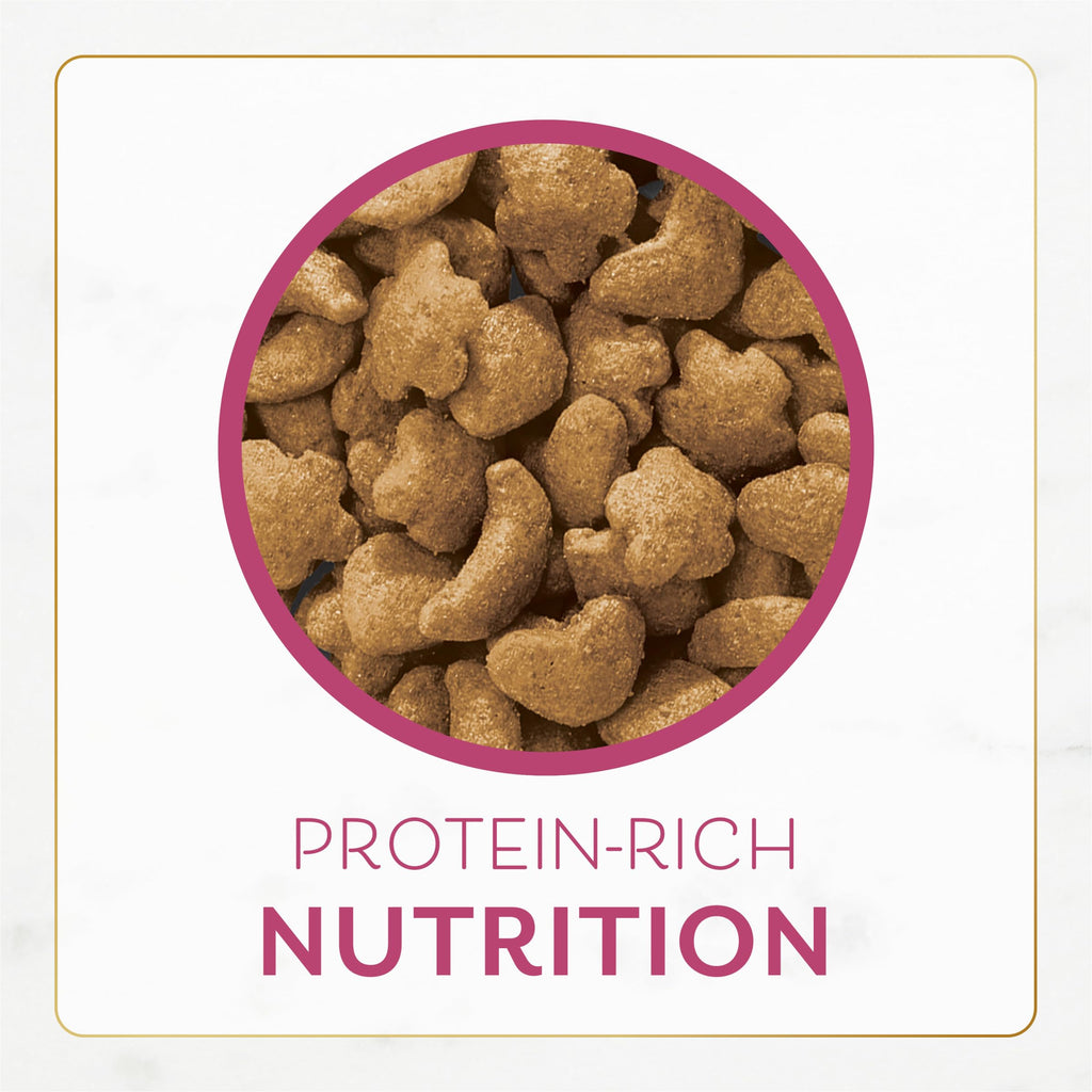 Dry Cat Food Filet Mignon Flavor 3 lb. Bag M250393