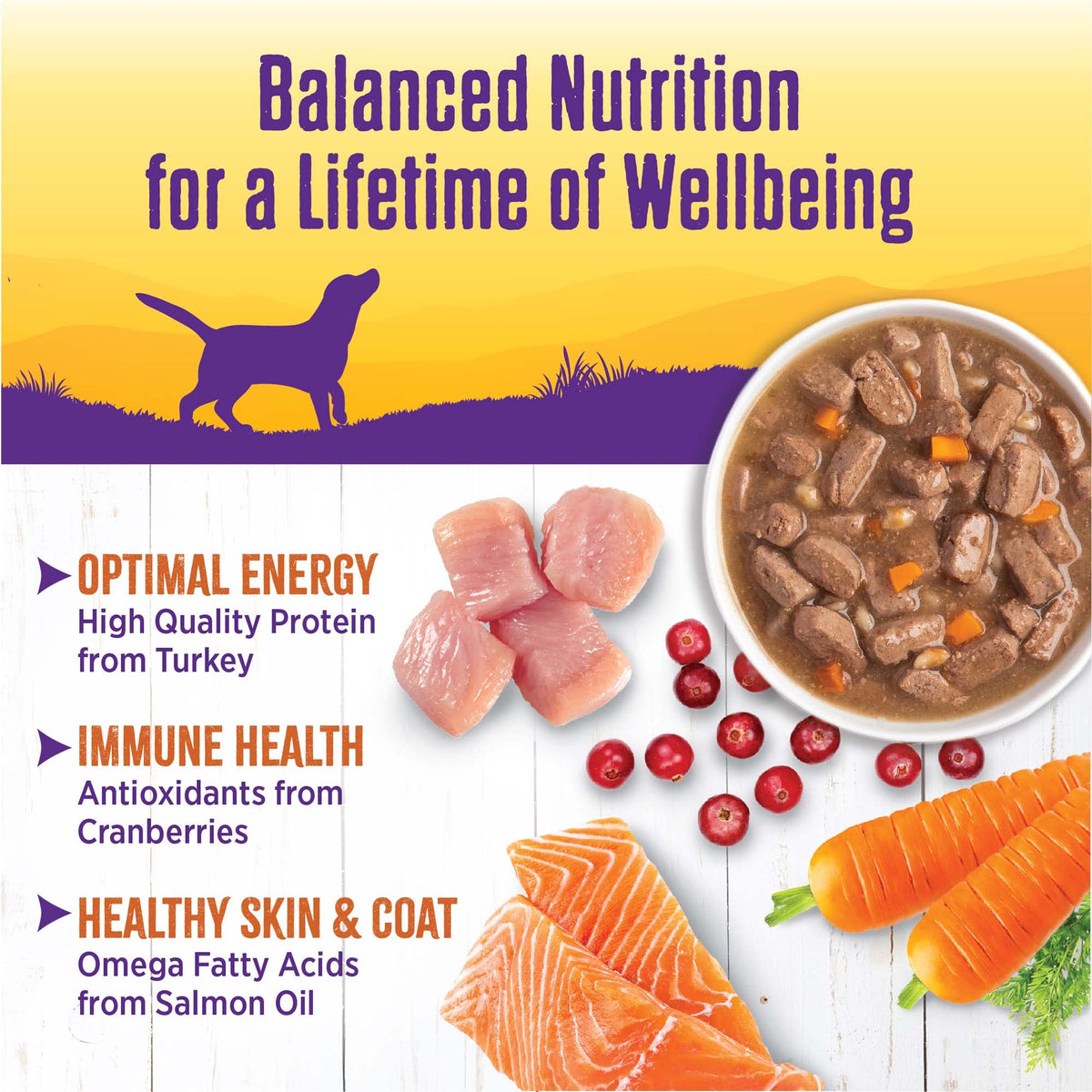 Grain Free Turkey Recipe Canned Wet Dog Food, 12.5 oz, Pack of 12 Cans I982063