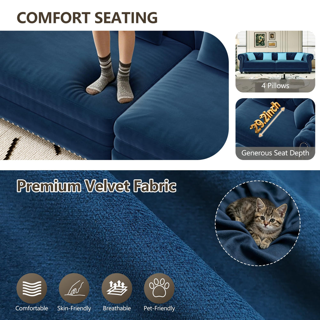 Blue Velvet Pull Out Sleeper Sofa Bed B6941