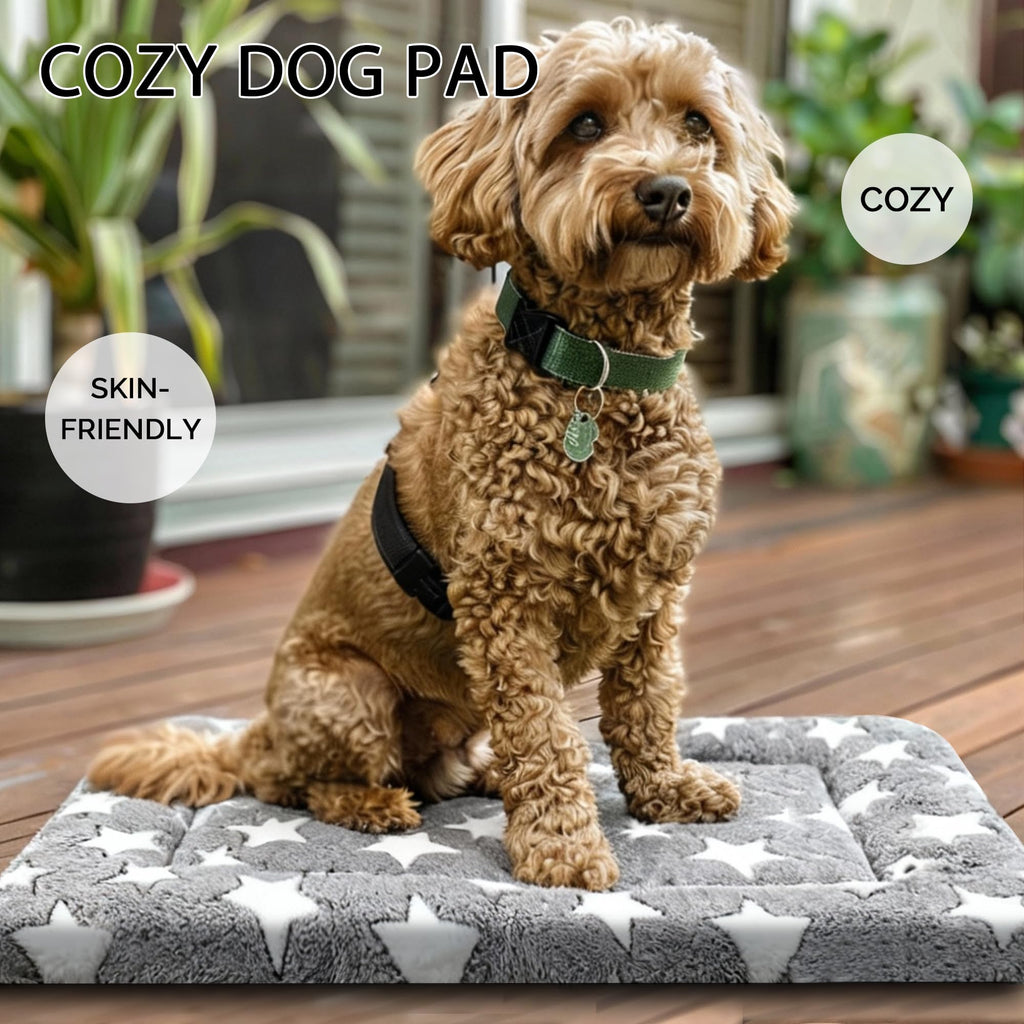 Reversible Machine Washable Dog Bed Mat R602