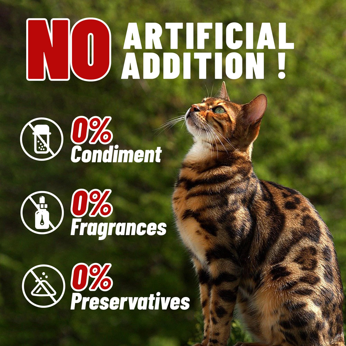 Freeze Dried Chicken Breast Cat & Dog Treats V9124